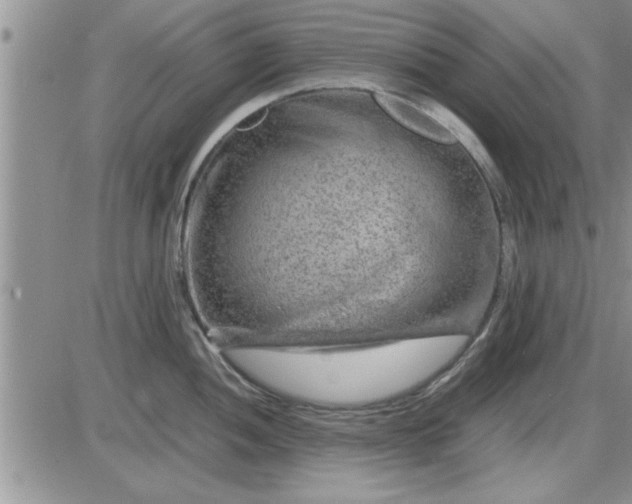 X0000085291052200703231828