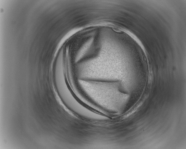 X0000085291053200703231828