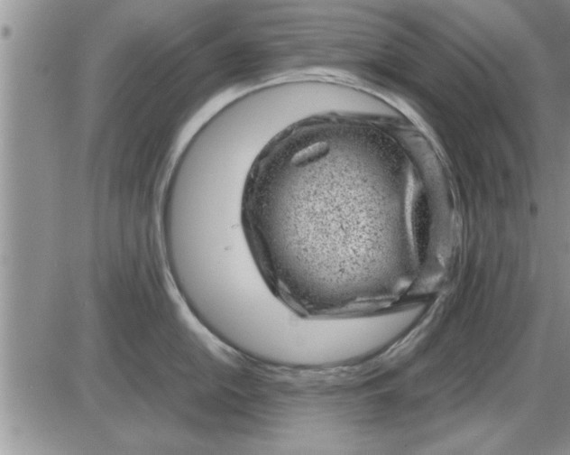 X0000085291054200703231828