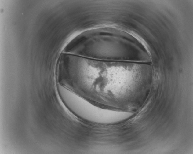 X0000085291055200703231828