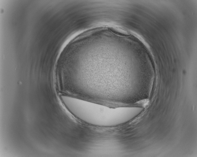 X0000085291056200703231828