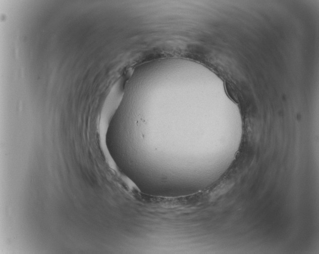 X0000085291057200703231827