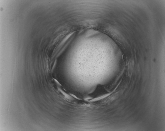 X0000085291058200703231827