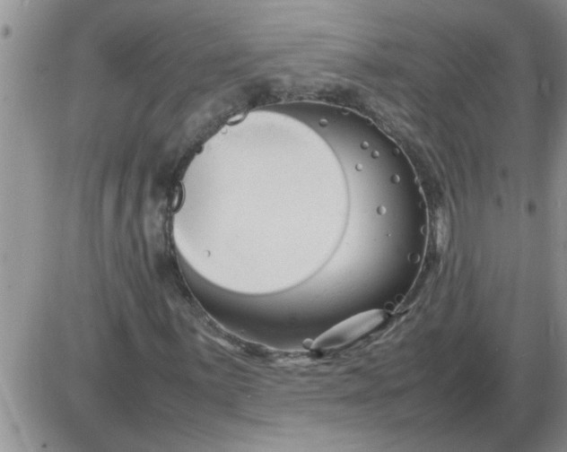 X0000085291059200703231827