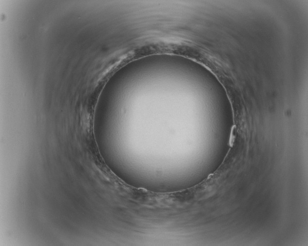 X0000085291061200703231827