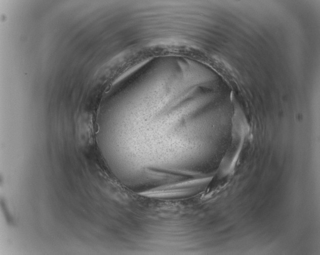 X0000085291062200703231827