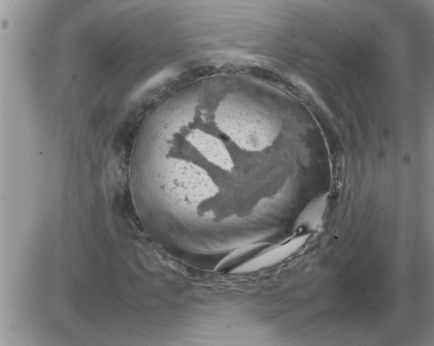 X0000085291063200703231827