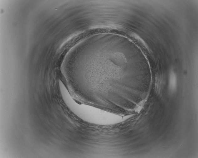 X0000085291064200703231827