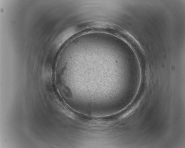 X0000085291065200703231827