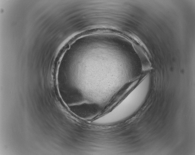 X0000085291068200703231827