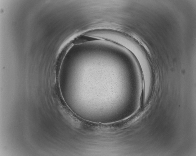 X0000085291069200703231827