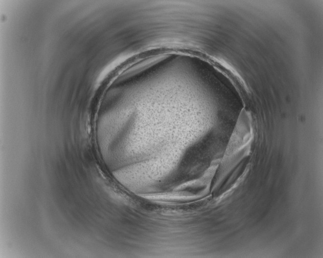 X0000085291070200703231827