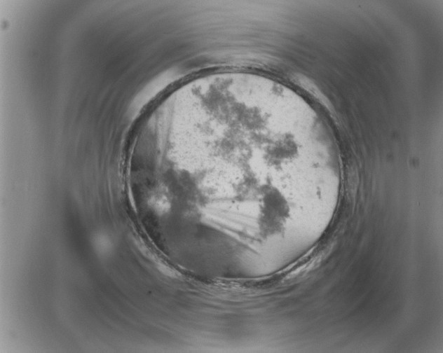 X0000085291071200703231827