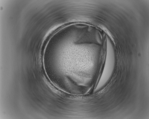 X0000085291072200703231827