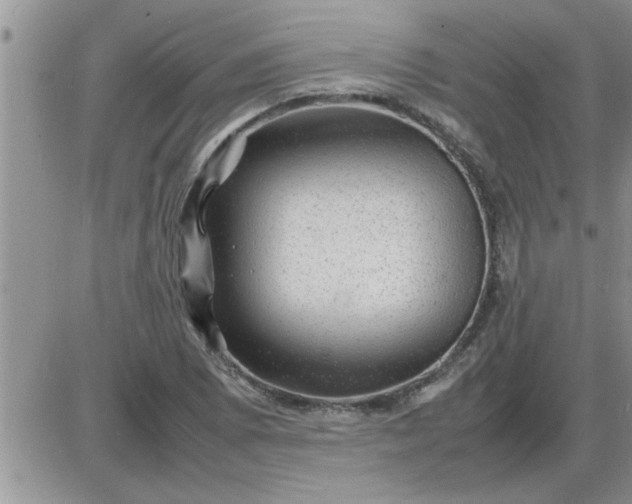 X0000085291073200703231827