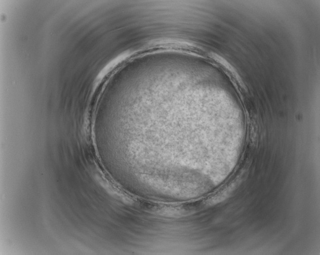 X0000085291074200703231827