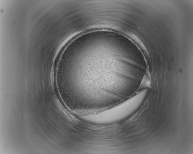 X0000085291076200703231827