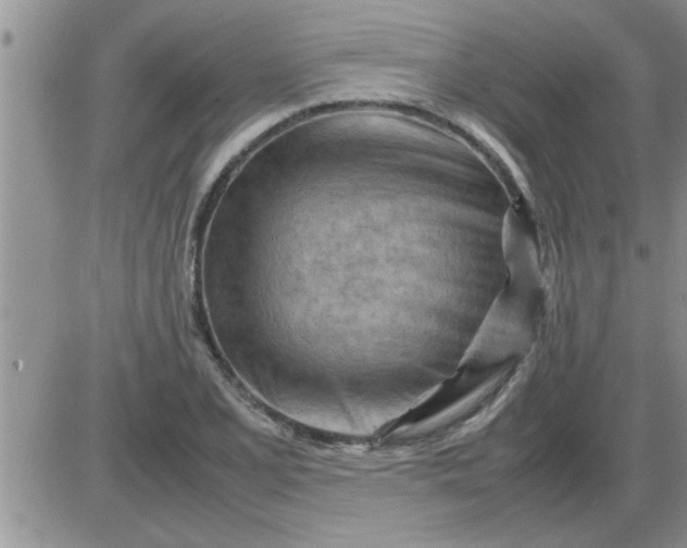 X0000085291077200703231827