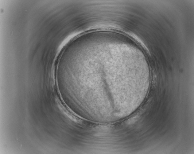 X0000085291078200703231827