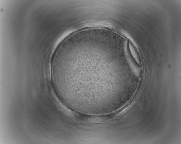 X0000085291079200703231827