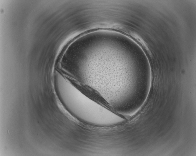 X0000085291080200703231827