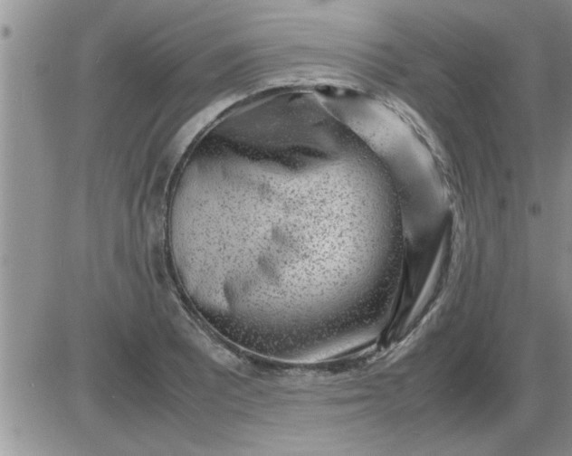 X0000085291081200703231827