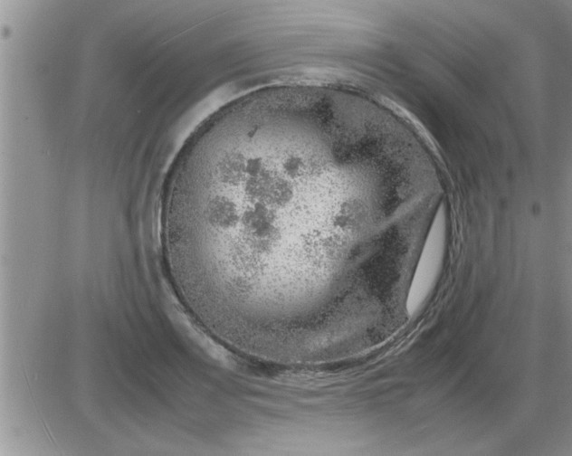 X0000085291083200703231827