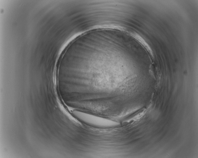 X0000085291084200703231827