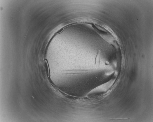 X0000085291089200703231826