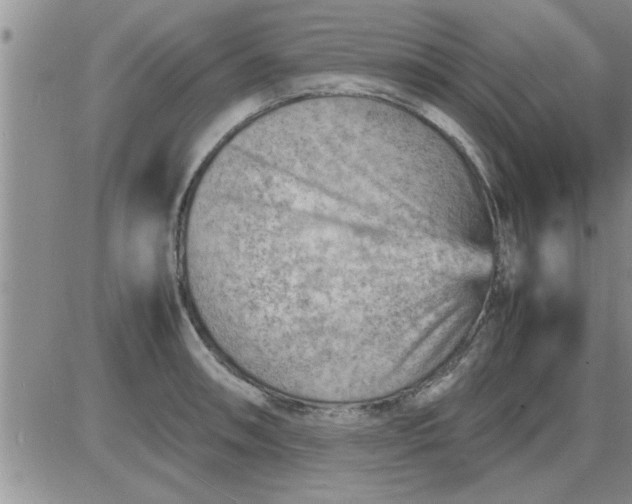 X0000085291090200703231826