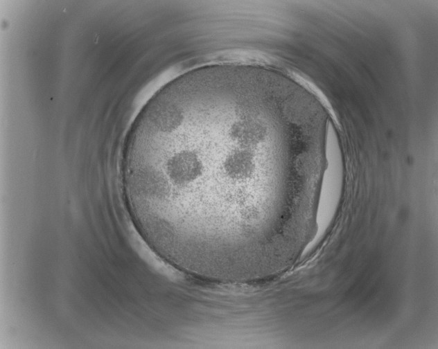 X0000085291091200703231826