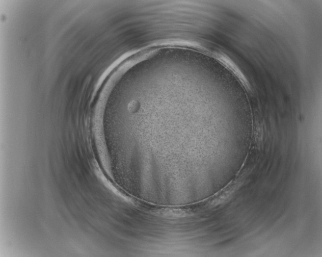 X0000085291092200703231826