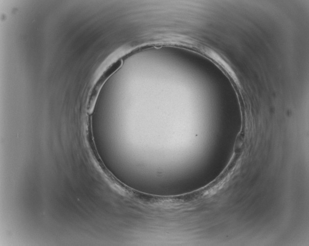 X0000085291093200703231826