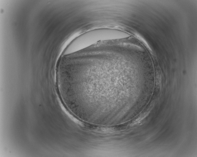 X0000085291095200703231826