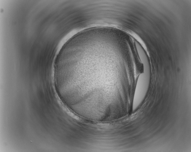 X0000085291096200703231826