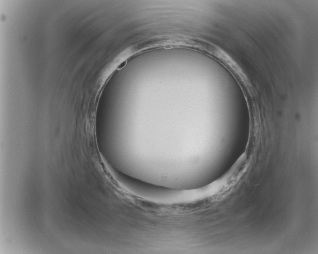 X0000085291097200703231826