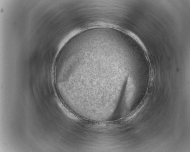 X0000085291098200703231826