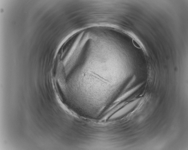 X0000085291100200703231826