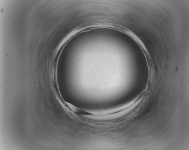 X0000085291101200703231826