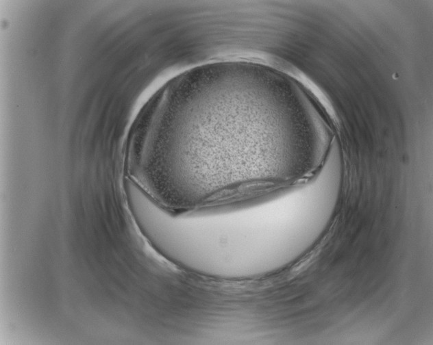 X0000085291102200703231826