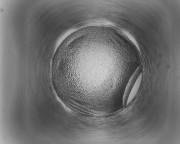 X0000085291103200703231826