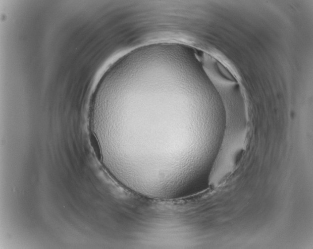 X0000085291104200703231826