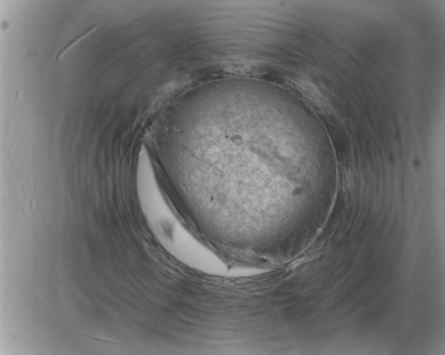 X0000085291106200703231825