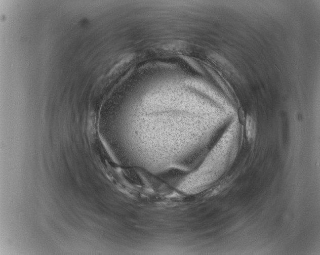 X0000085291107200703231825