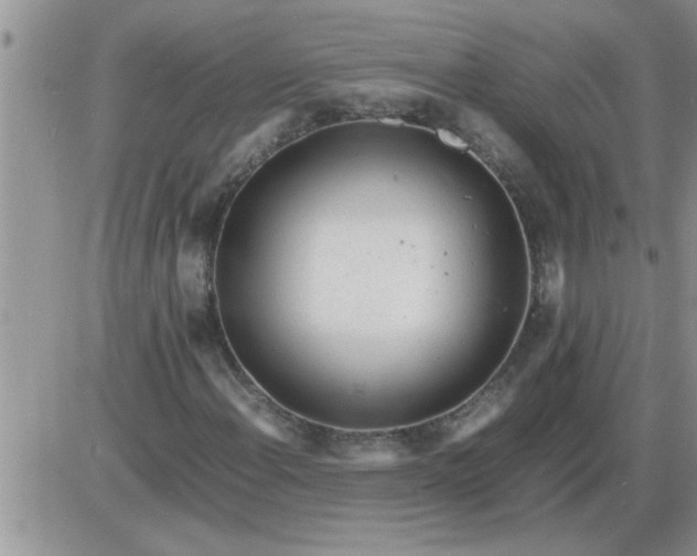 X0000085291108200703231825