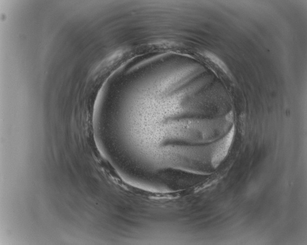 X0000085291111200703231825