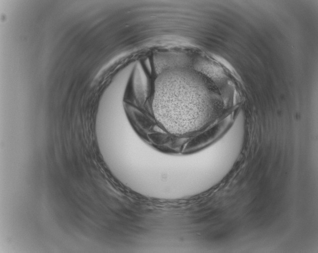 X0000085291112200703231826