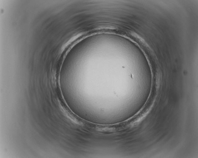 X0000085291113200703231826