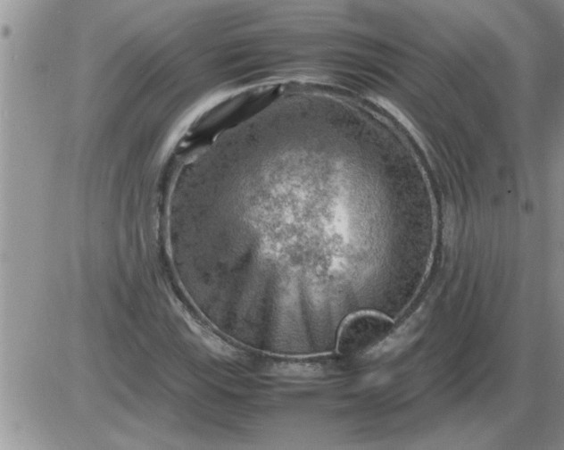 X0000085291115200703231826