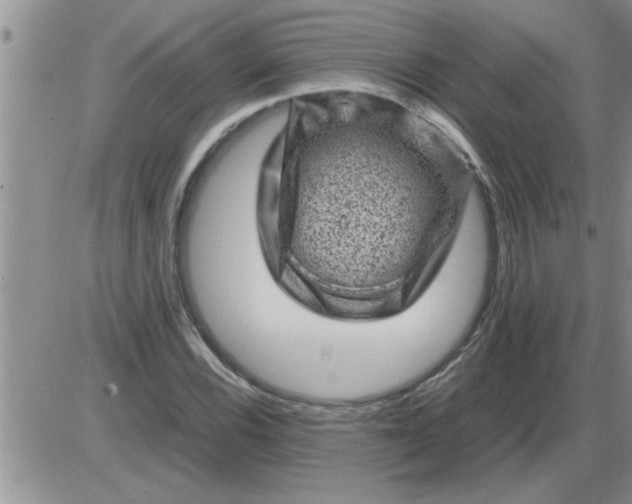 X0000085291116200703231826